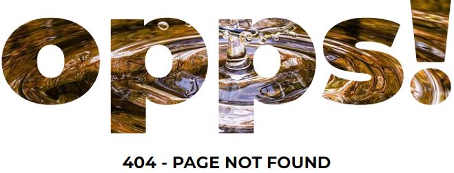 404img